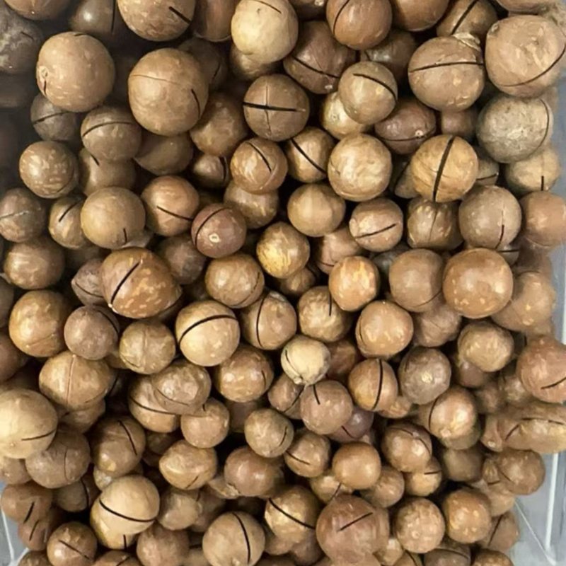 夏威夷果