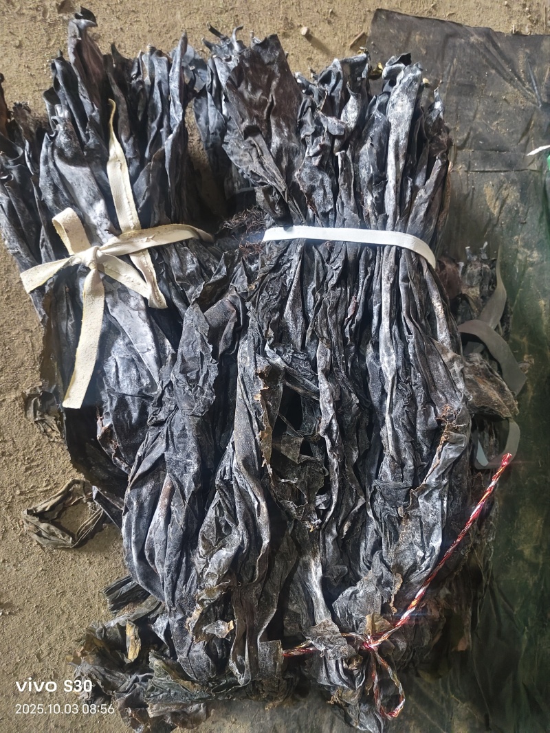 《山东海带》荣成干海带海带头专业地摊赶大集批发专用
