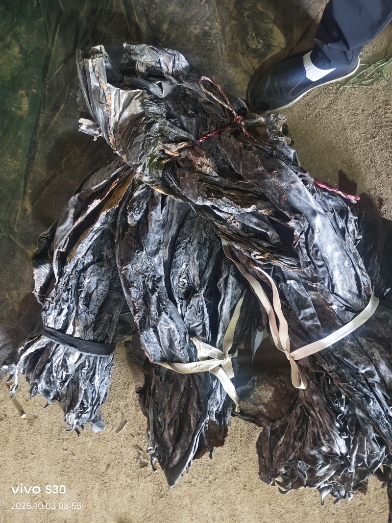 《山东海带》荣成干海带海带头专业地摊赶大集批发专用
