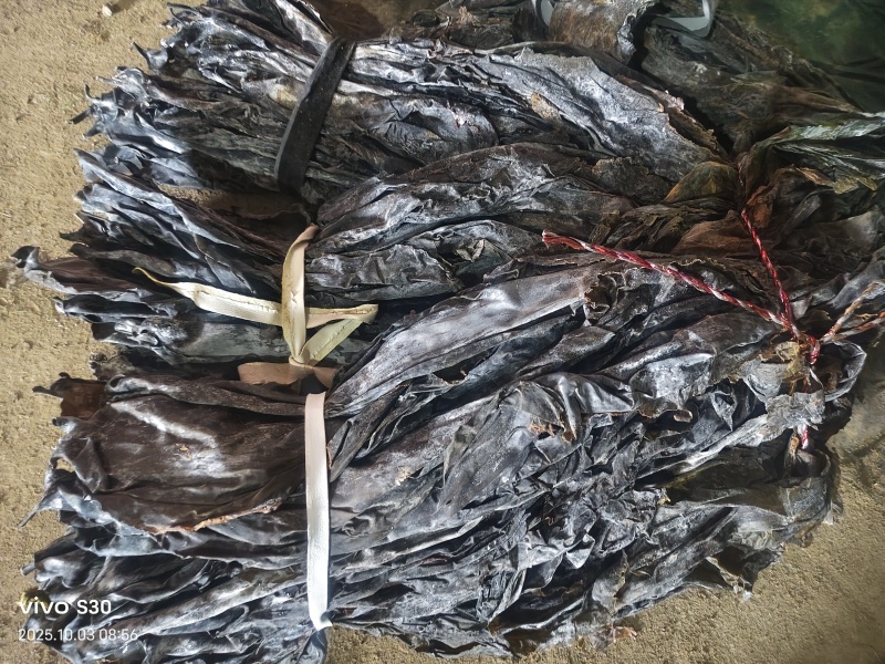 《山东海带》荣成干海带海带头专业地摊赶大集批发专用
