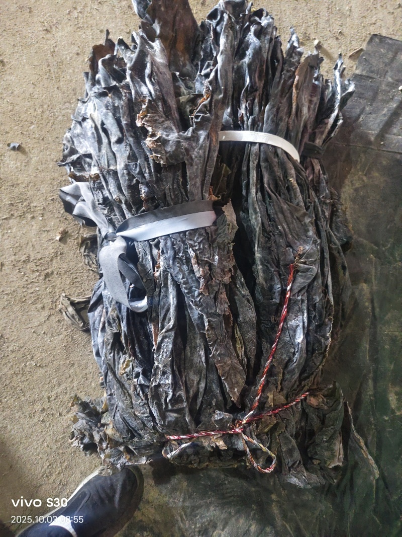 《山东海带》荣成干海带海带头专业地摊赶大集批发专用