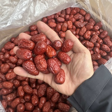新疆若羌灰枣