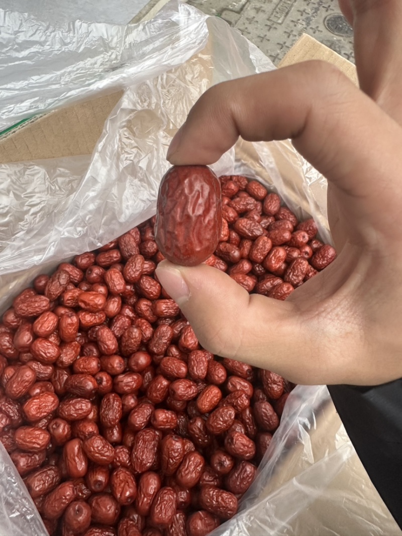 新疆若羌灰枣
