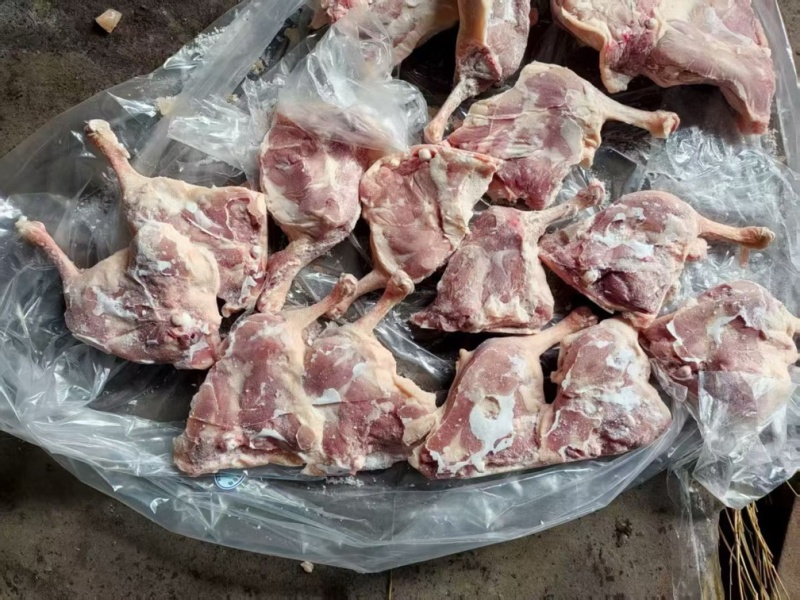 一级大鸭腿货源充足工厂直发手续齐全