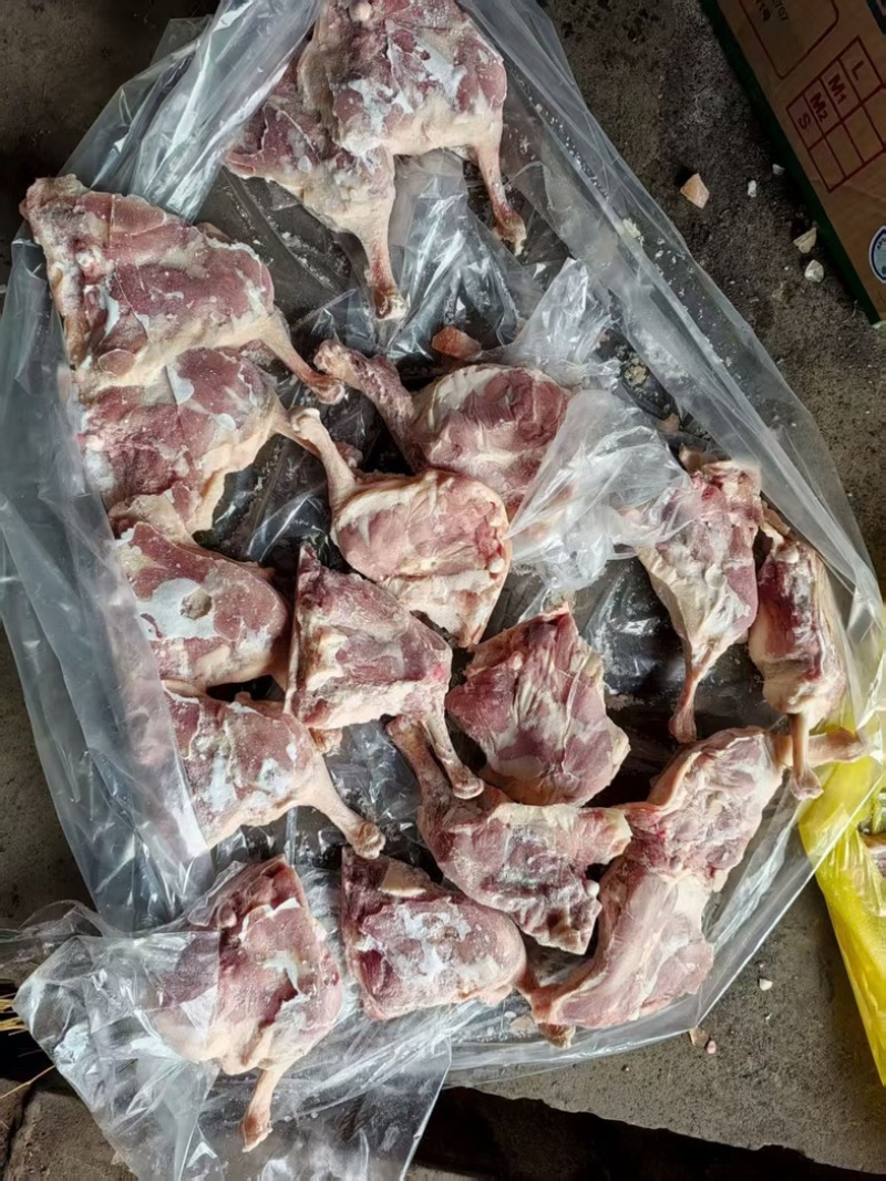 一级大鸭腿货源充足工厂直发手续齐全