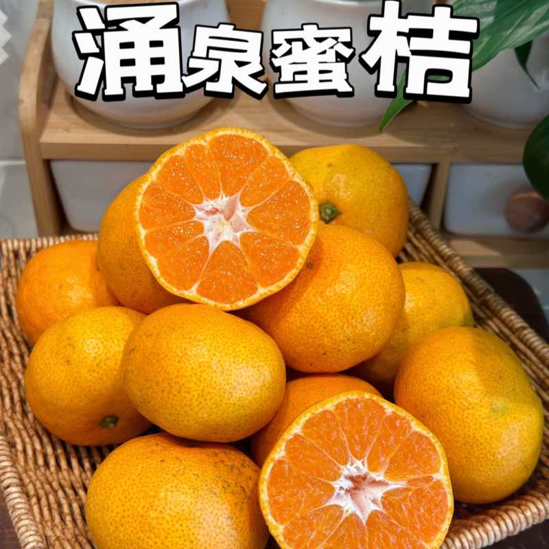 【出口外贸】【一件代发】涌泉蜜橘