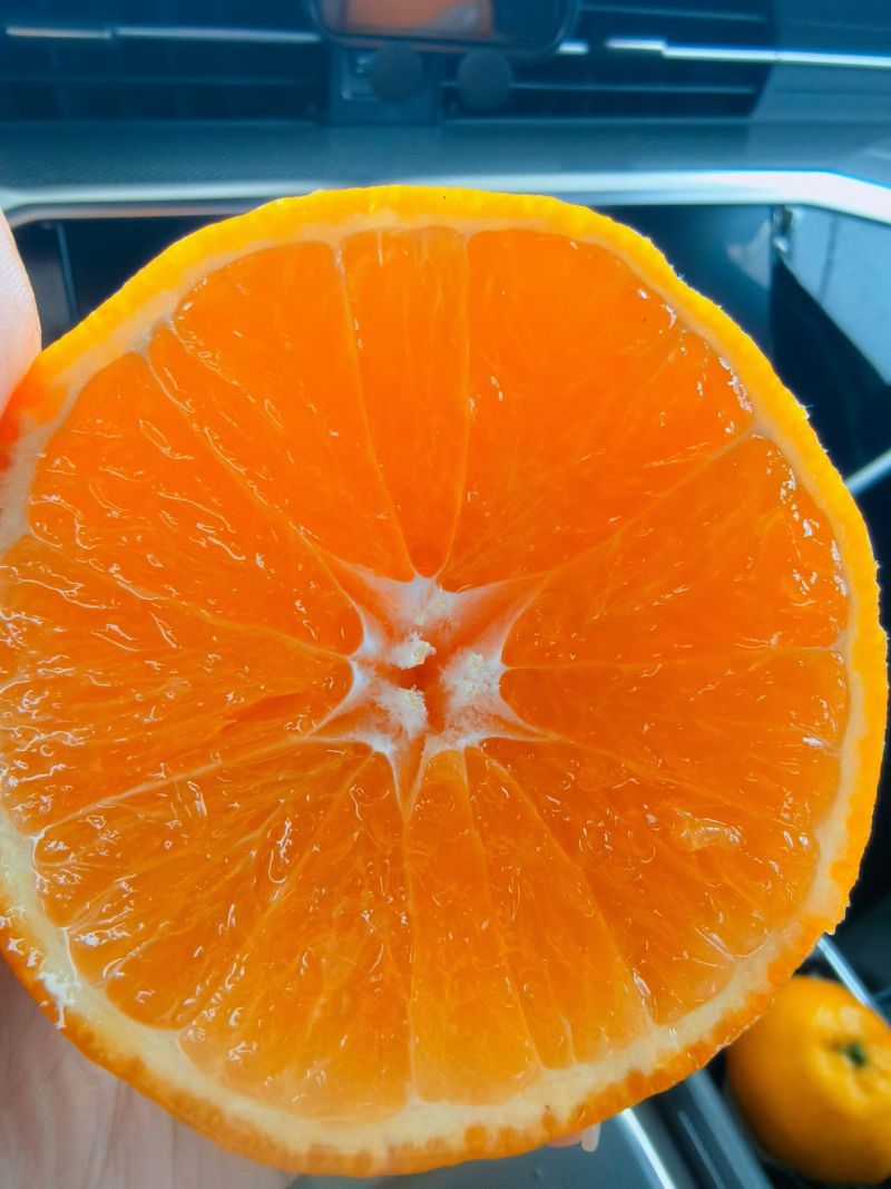 爱媛果冻橙