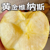 【一件代发】黄金维纳斯