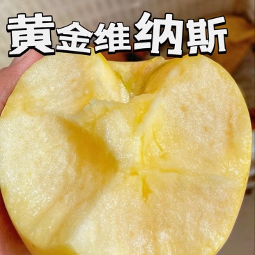 【一件代发】黄金维纳斯