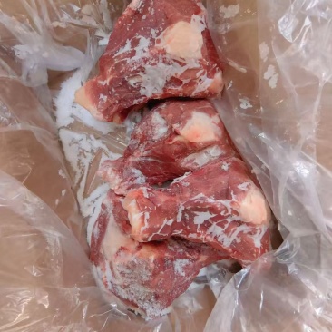 肥猪扇骨