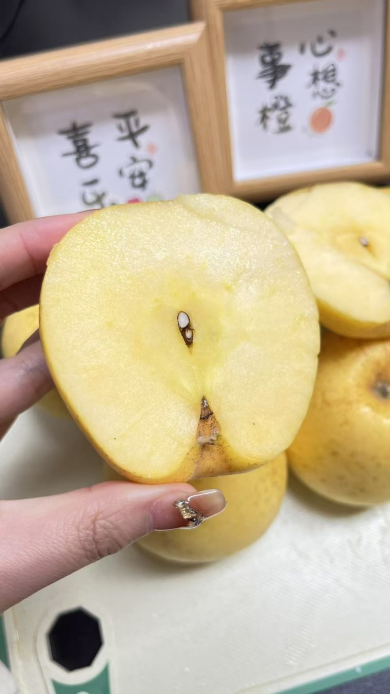 【一件代发】黄金维纳斯
