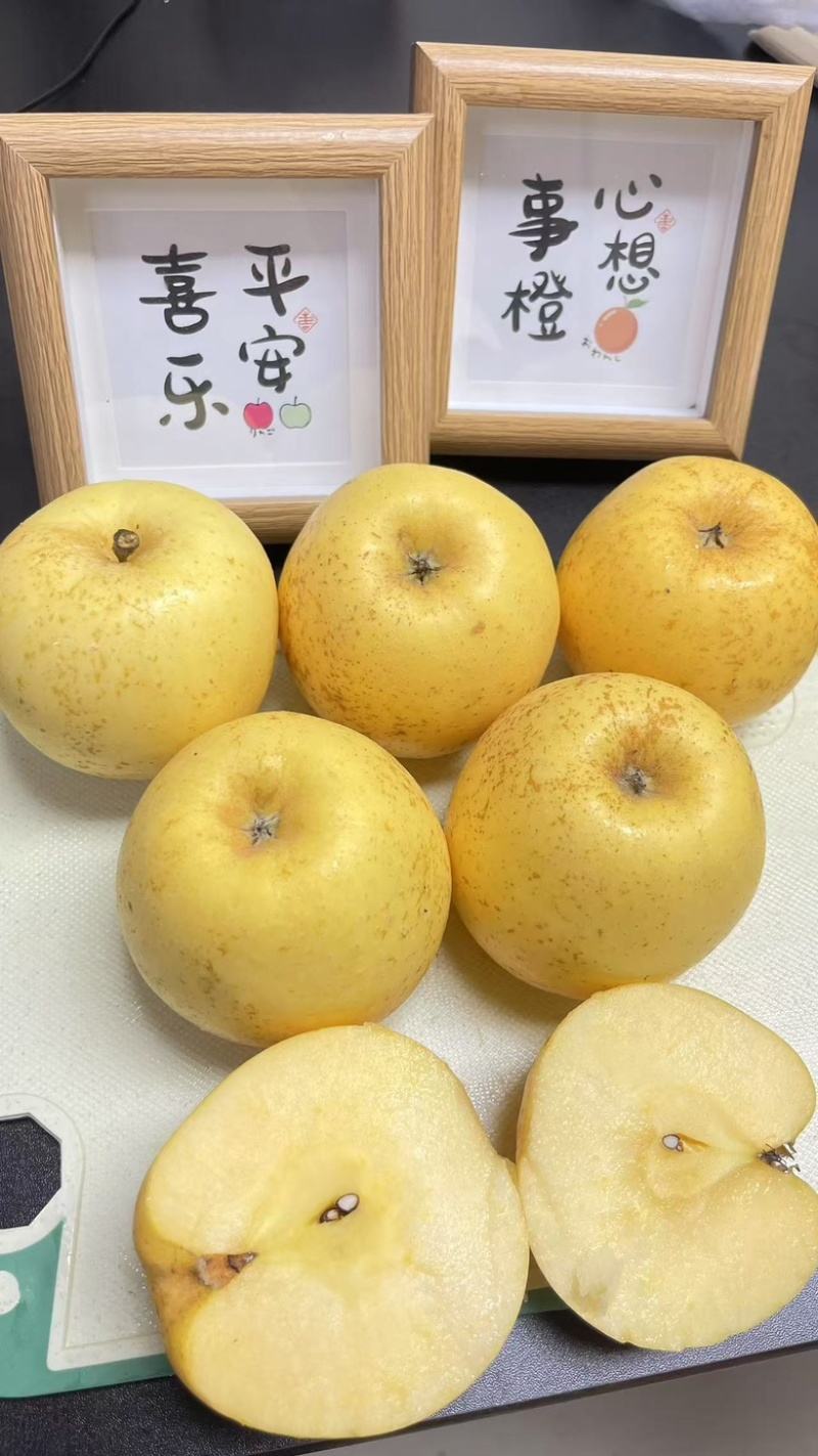 【一件代发】黄金维纳斯