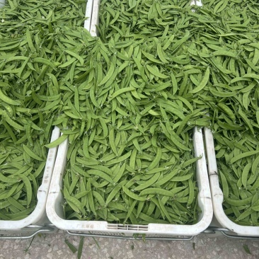 荷兰豆