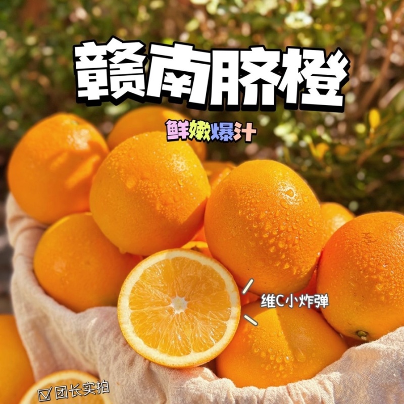 【一件代发】赣南脐橙