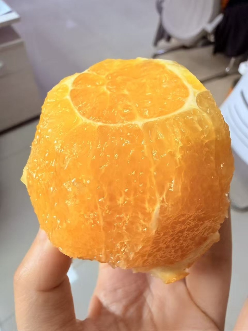 【一件代发】赣南脐橙