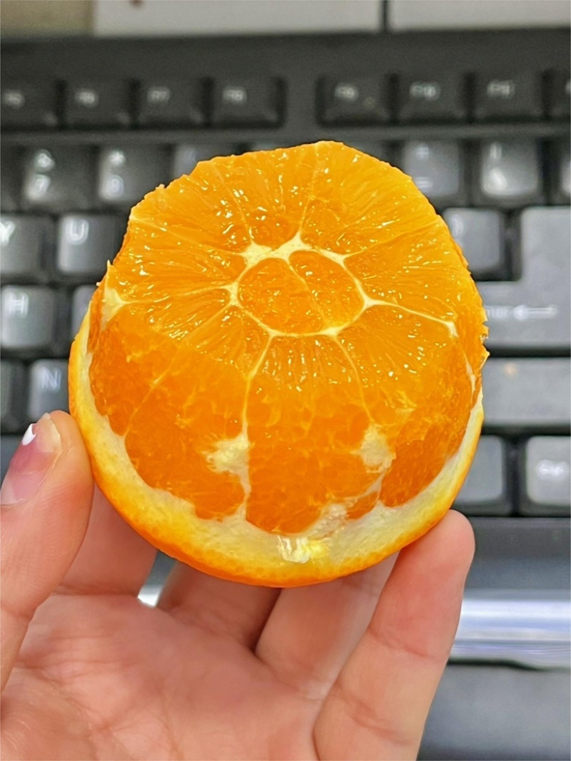 【一件代发】赣南脐橙