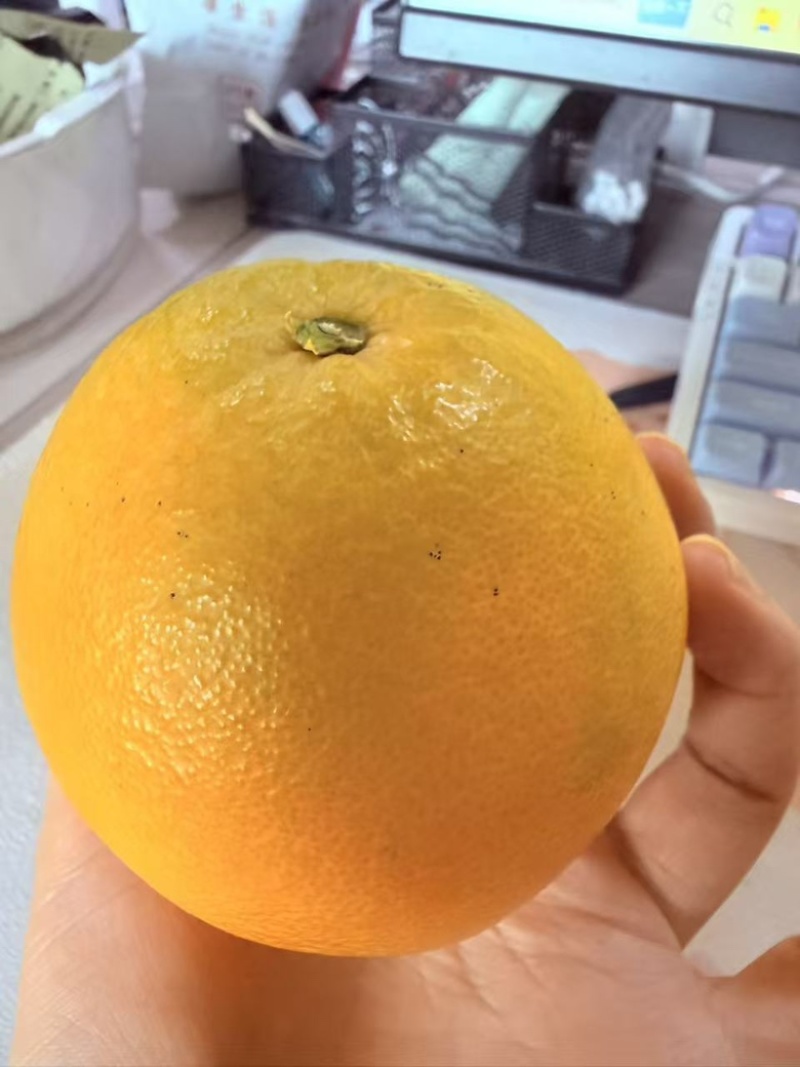 【一件代发】纽荷尔脐橙
