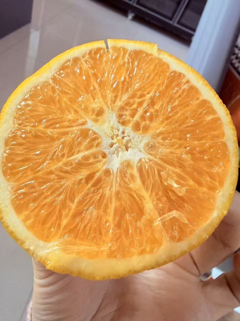 【一件代发】纽荷尔脐橙