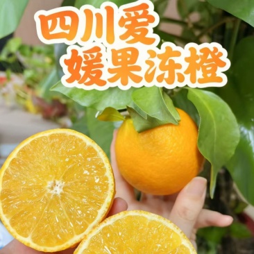 【一件代发】四川爱媛果冻橙