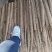 精品发货双棒山药全国对接档口大市场价格面议