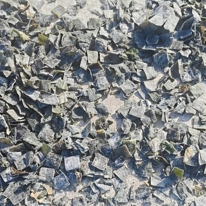 海带块烘干