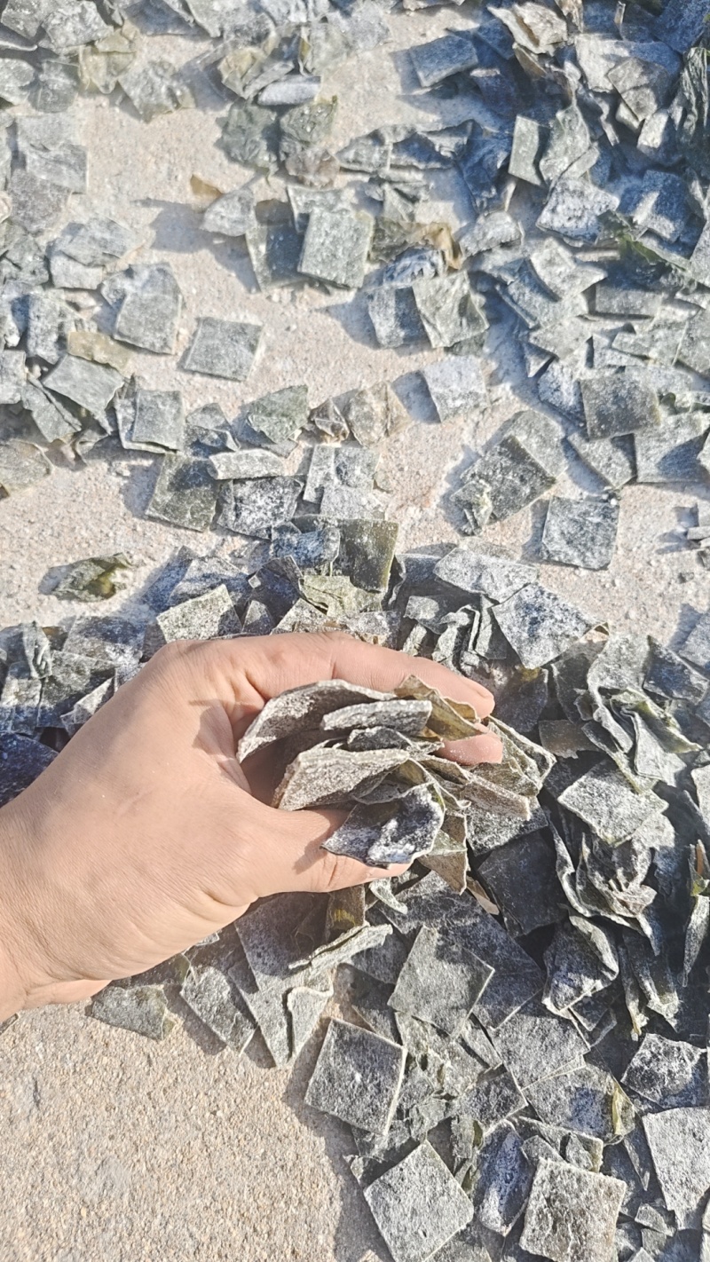 海带块烘干
