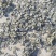 海带块烘干