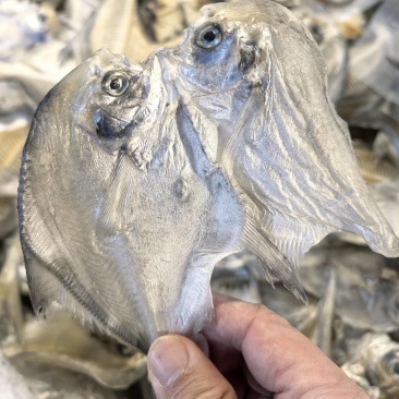 白鲳鱼干野生银鲳鱼干货新鲜咸干咸香鱼干银仓鱼扁鱼干小鱼干