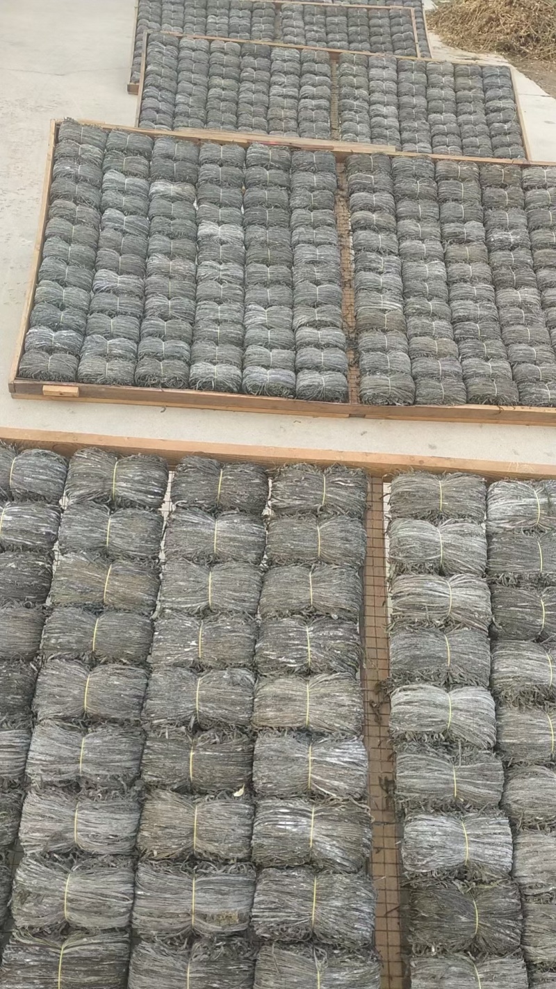 《山东干海带丝》威海海带丝/自然晾晒/品质优选干净