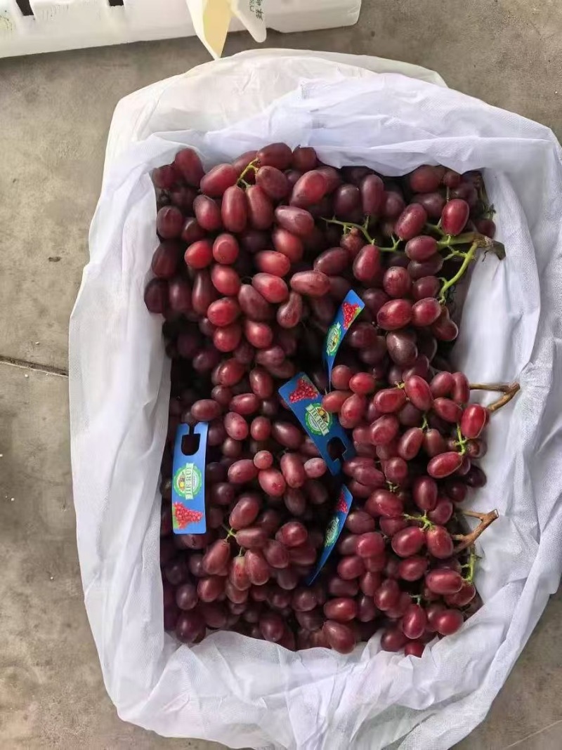 克伦生红提大量供应，保质保量，口感杠杠的一手货源