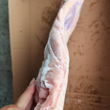 肥猪带皮后上肉