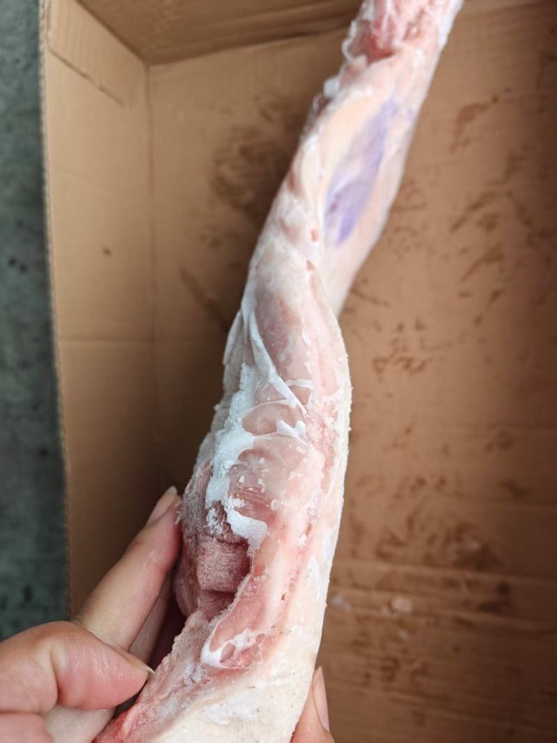 肥猪带皮后上肉