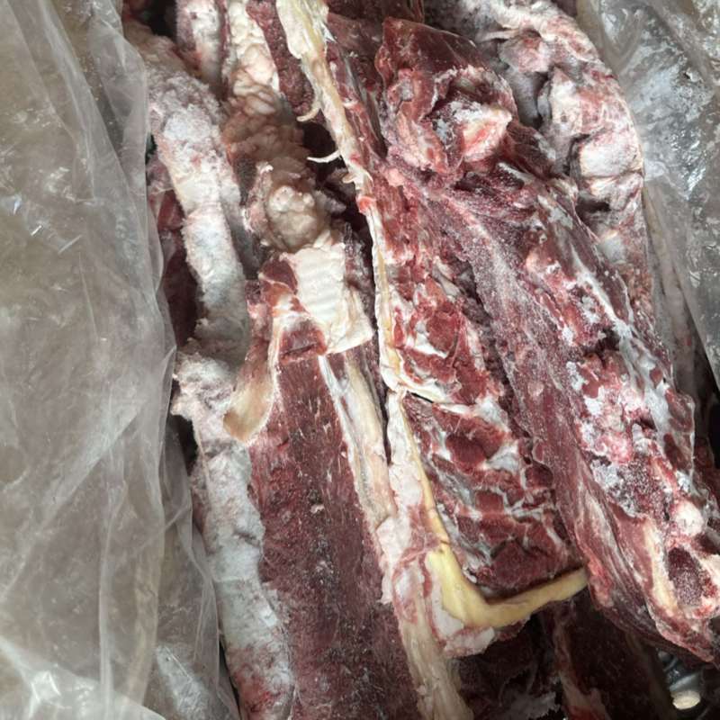 满肉羊蝎子一手货源