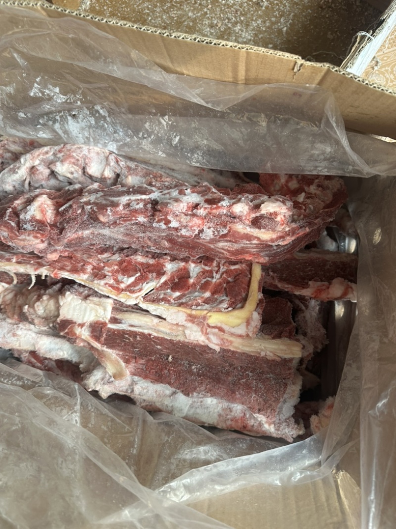 满肉羊蝎子一手货源