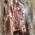 满肉羊蝎子一手货源