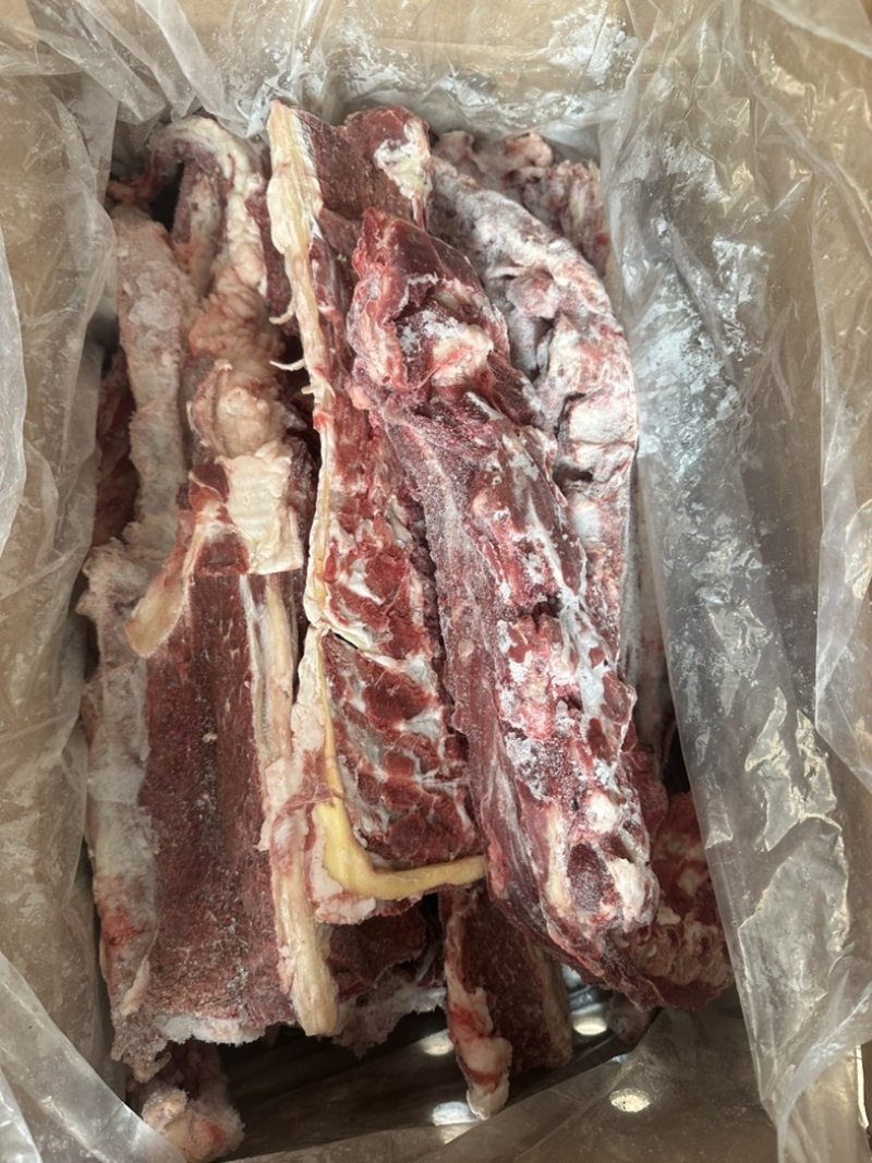满肉羊蝎子一手货源