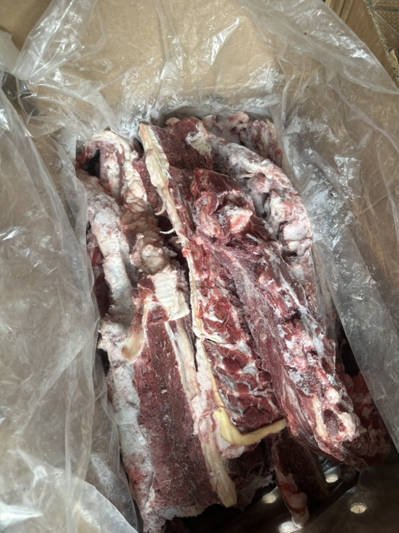 满肉羊蝎子一手货源