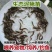 泥鳅鲜活喂养宠物龙鱼活饵乌龟饲料泥鳅养殖淡水观赏鱼垂钓