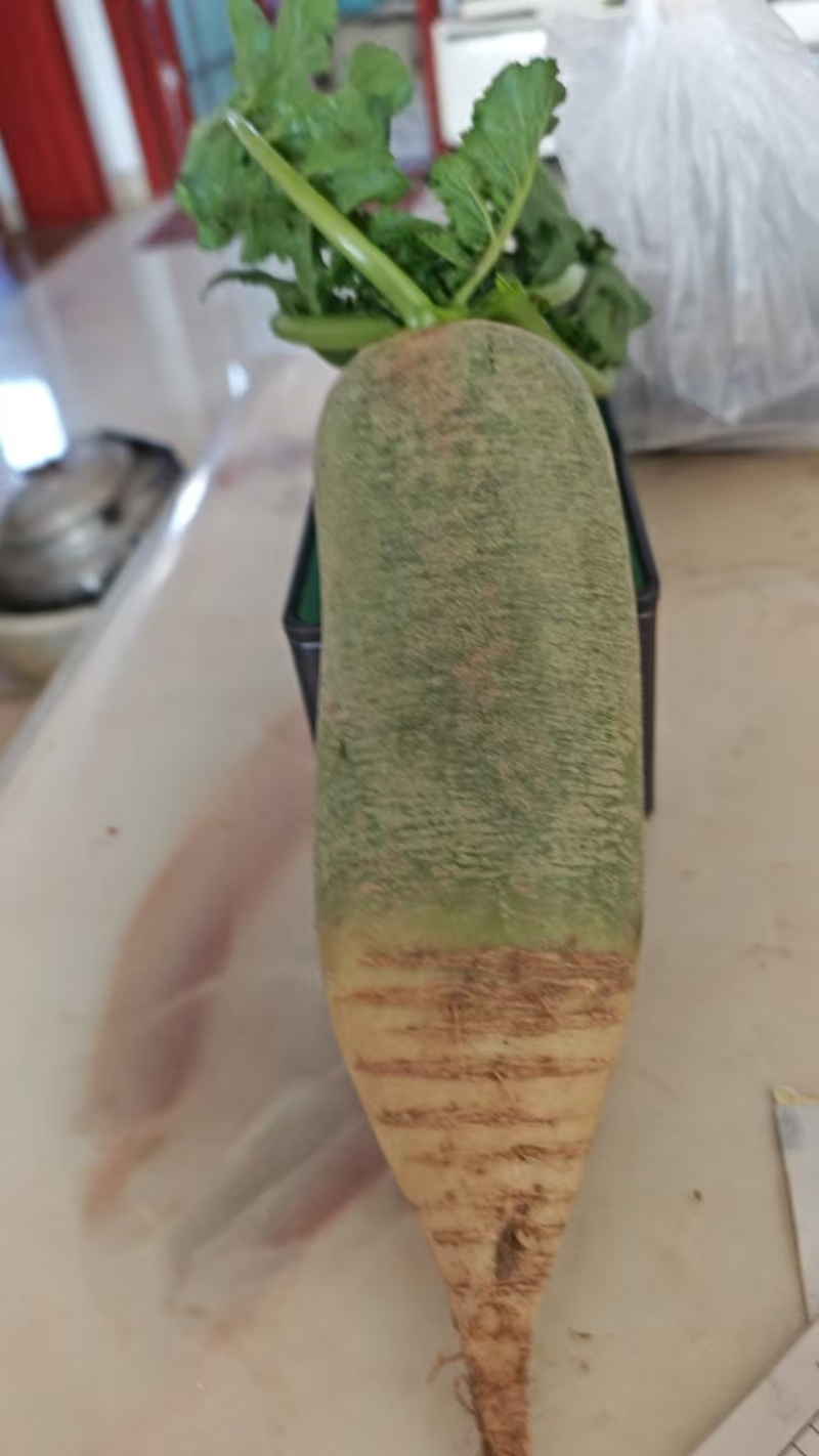 精品水果萝卜产地一手货源质量保证看货打价欢迎咨询