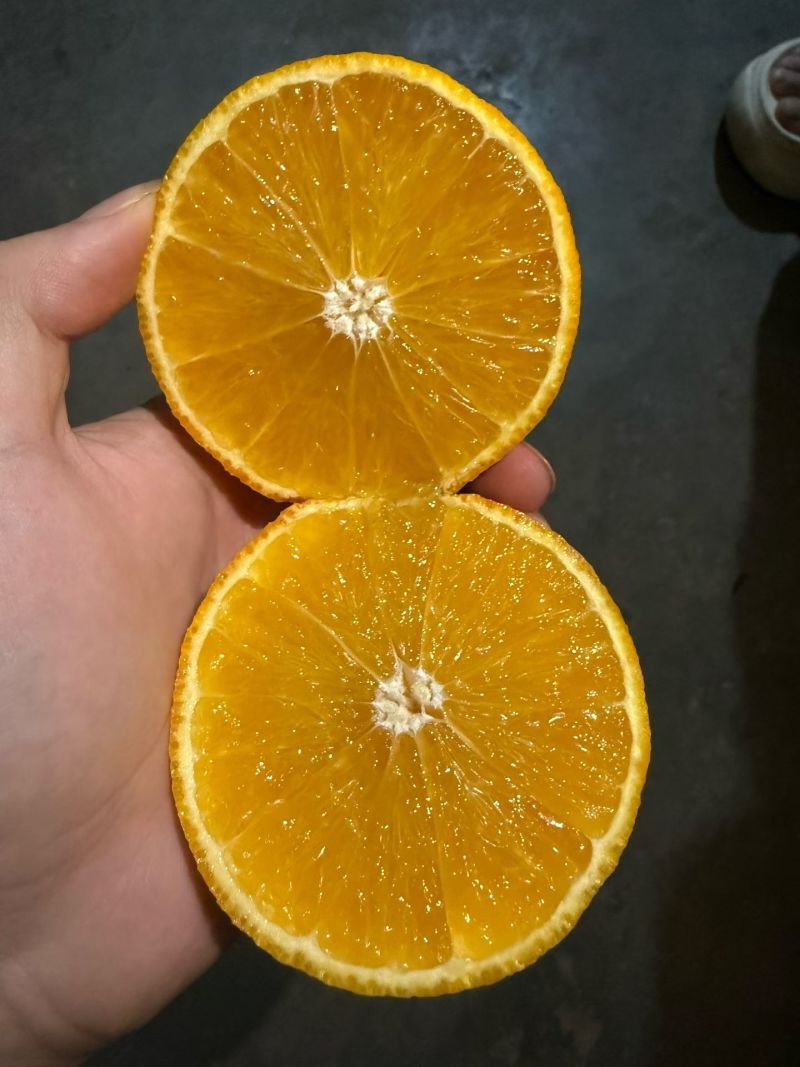 产地四川金堂县爱媛果冻橙，货源直发，货量充足，产地一手货
