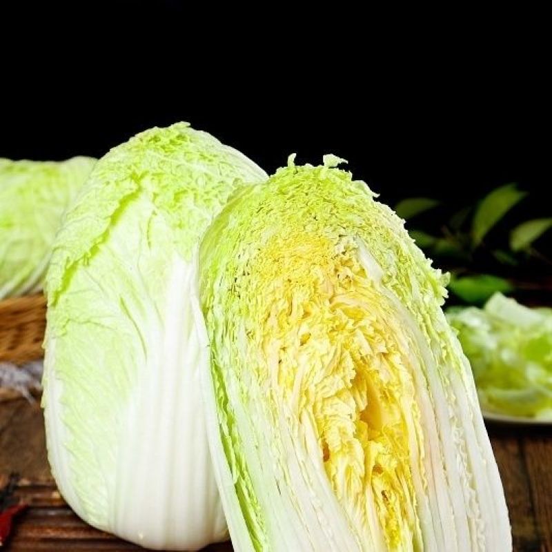 湖北荆门黄心大白菜产地直供大量有货对接超市批发市场团购