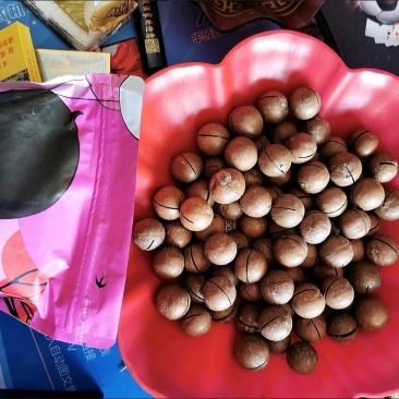 夏威夷果热度起来了老板们抓紧了