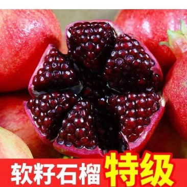 软籽石榴特级
