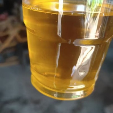 湖南老树小籽土榨茶油