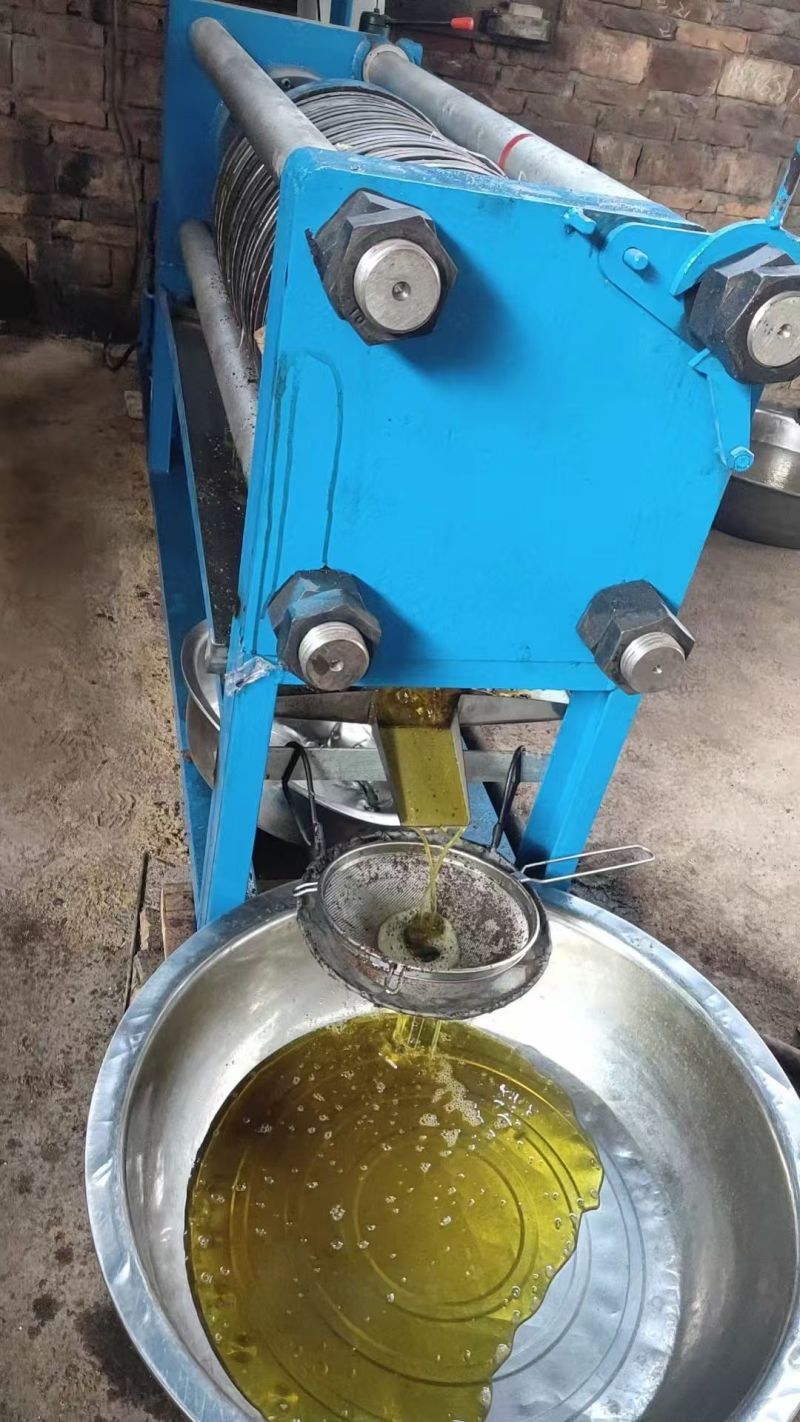 湖南老树小籽土榨茶油