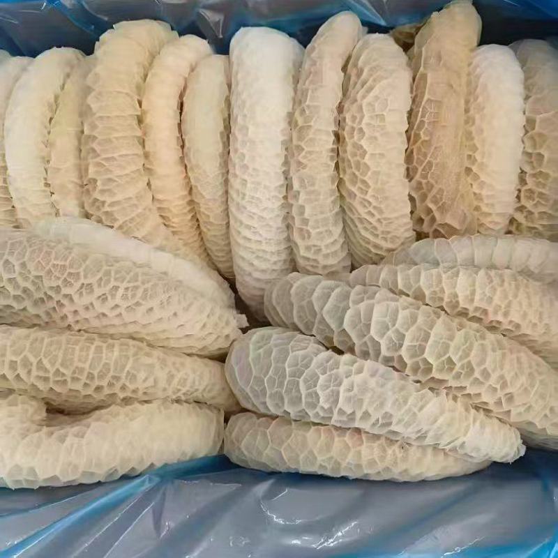 熟金钱肚