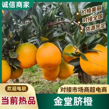 【推荐】金堂脐橙，产地直发视频看货欢迎咨询