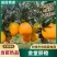 【推荐】金堂脐橙，产地直发视频看货欢迎咨询