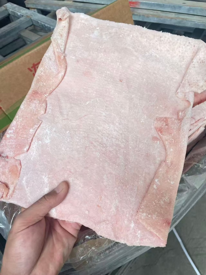 大皮
