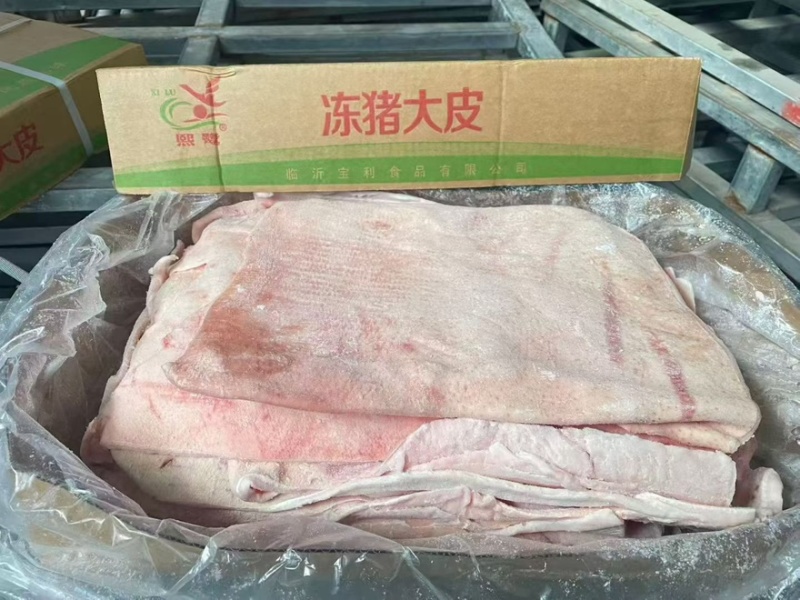 大皮